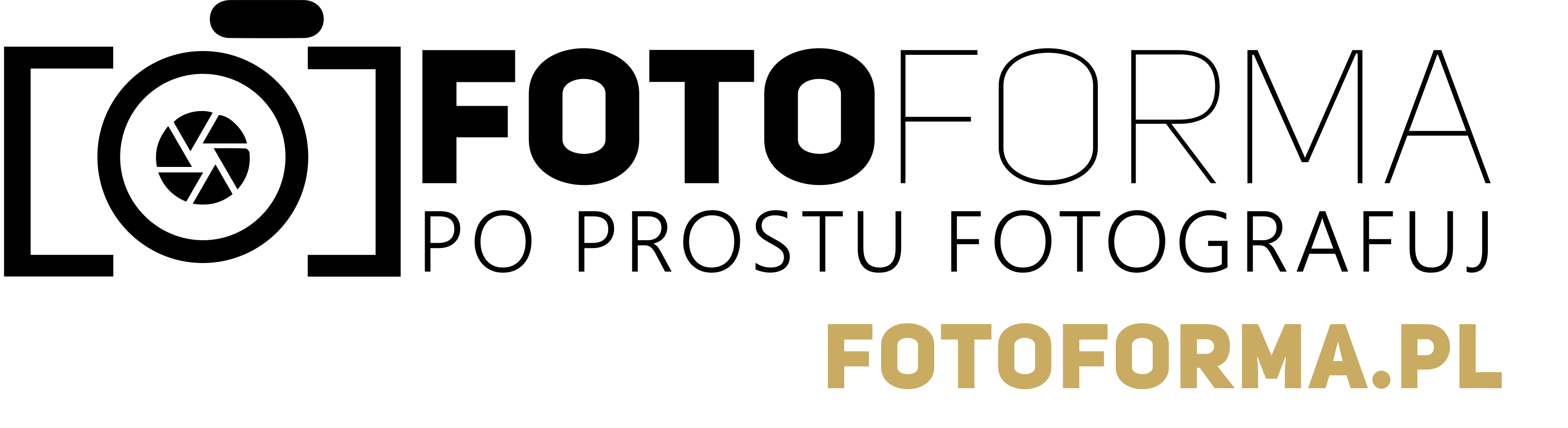 logo-ff-www-gold-small
